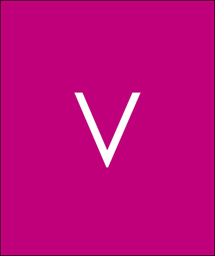 Tinta Magenta (V)                    LT